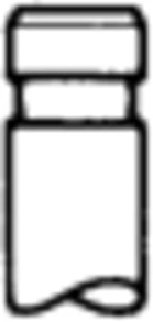 Intake Valve